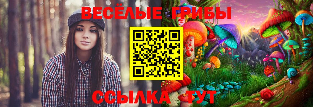Псилоцибиновые грибы Cubensis  Галлюциногенные грибы Psilocybe  закладка  Серов  Вход с VPN 